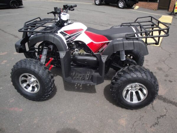 Tao Motor Bull 200 - Rods ATVs & Bikes